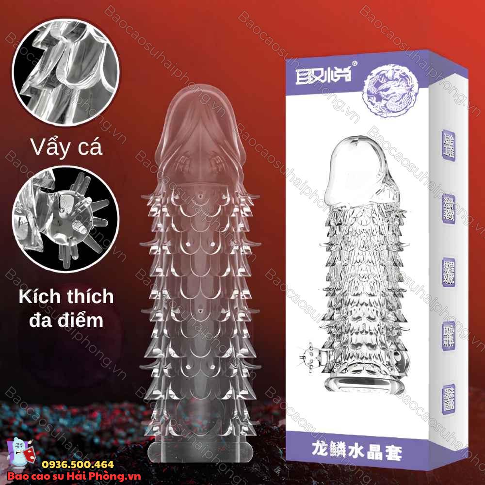 bao-don-den-vay-ca-scales (3)