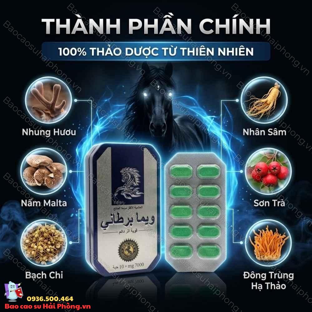 thuoc-cuong-duong-ngua-thai (3) Thuốc Cường Dương Ngựa Thái
