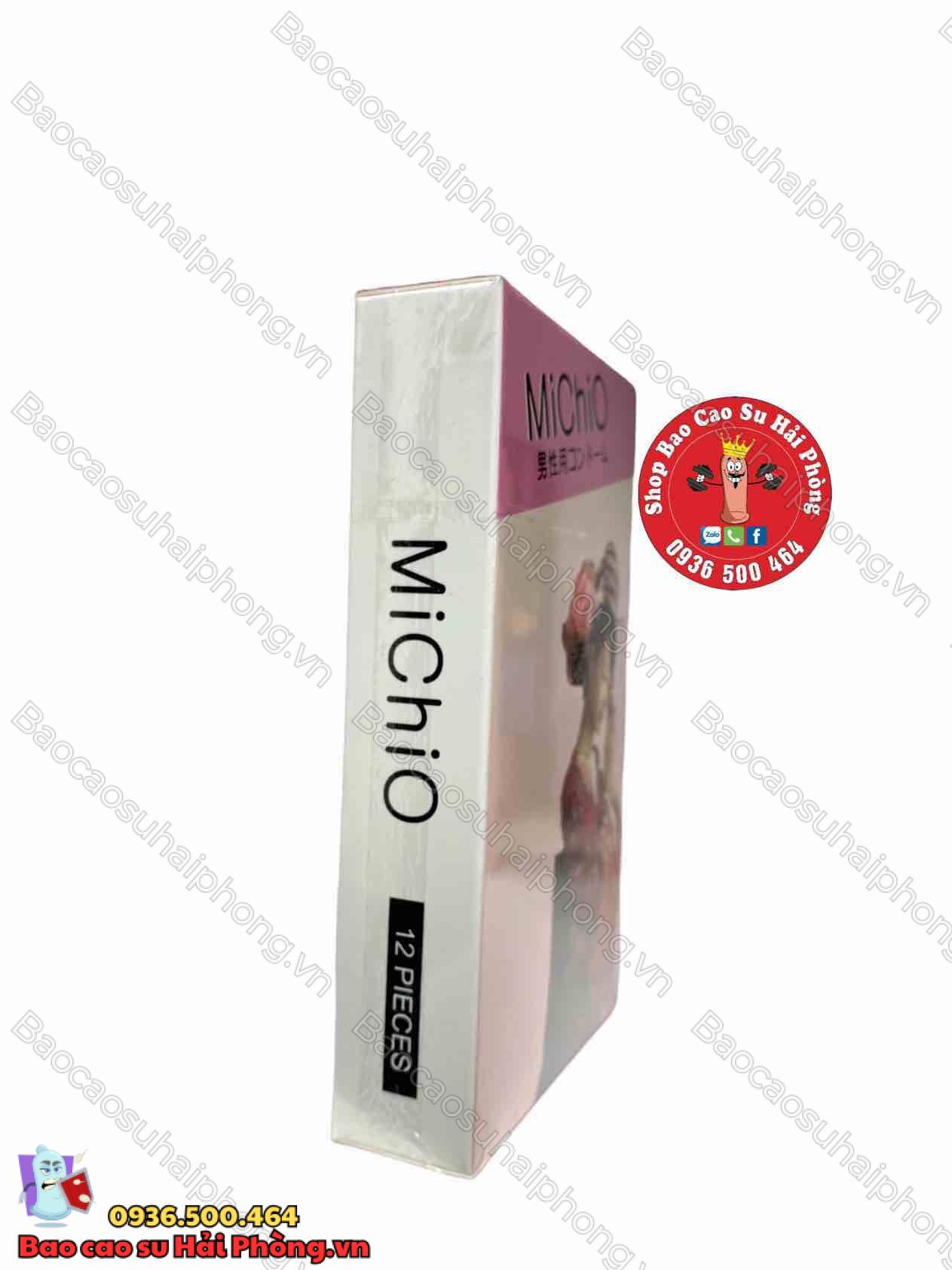 bao-cao-su-michio (1) BAO CAO SU NHẬT BẢN SIZE NHỎ MICHIO