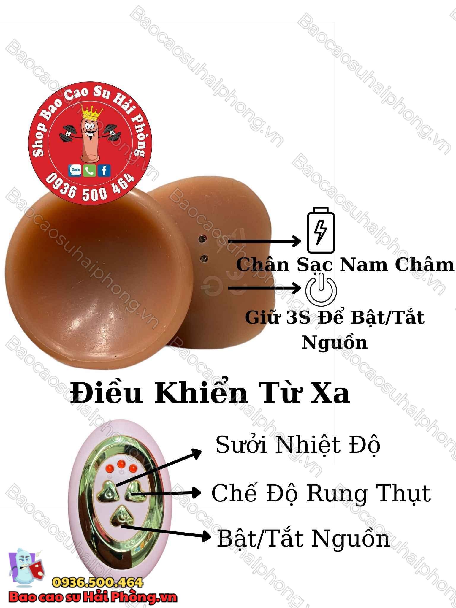 duong-vat-gia-gan-tuong