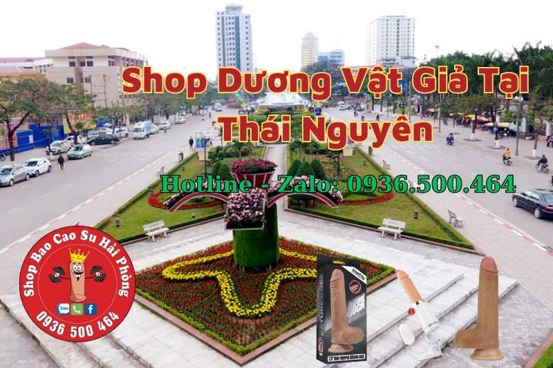 Cửa hàng bán dương vật giả tại Thái Nguyên