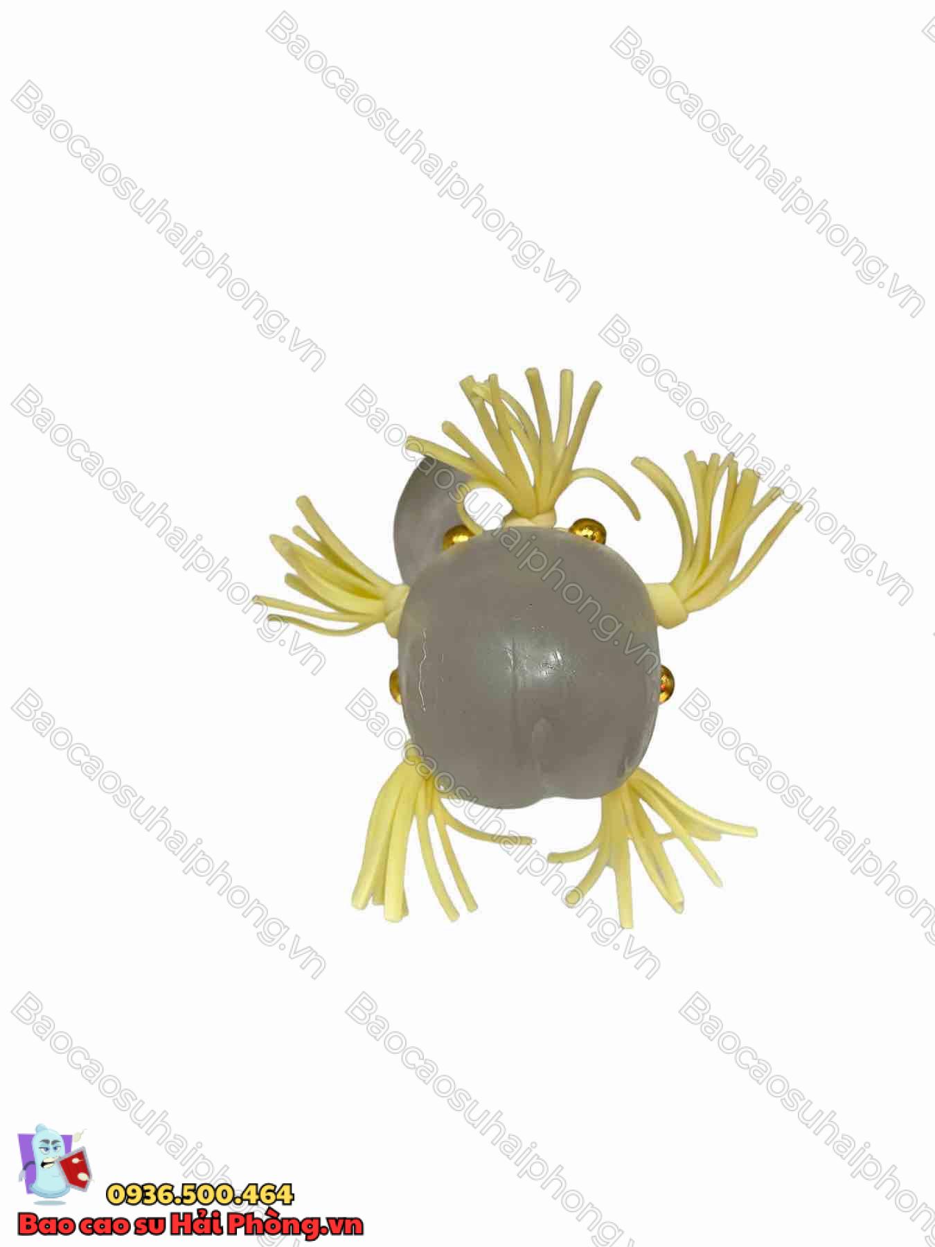 rau-rong-bi-gai Râu rồng bi gai