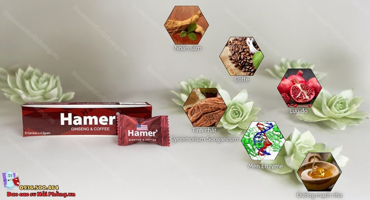 Thành phần trong kẹo sâm Hamer