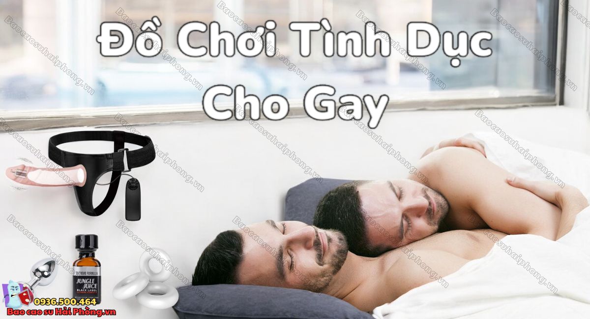 Đồ chơi tình dục cho gay