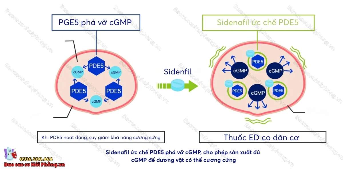 Kẹo Kamagra Ấn Độ