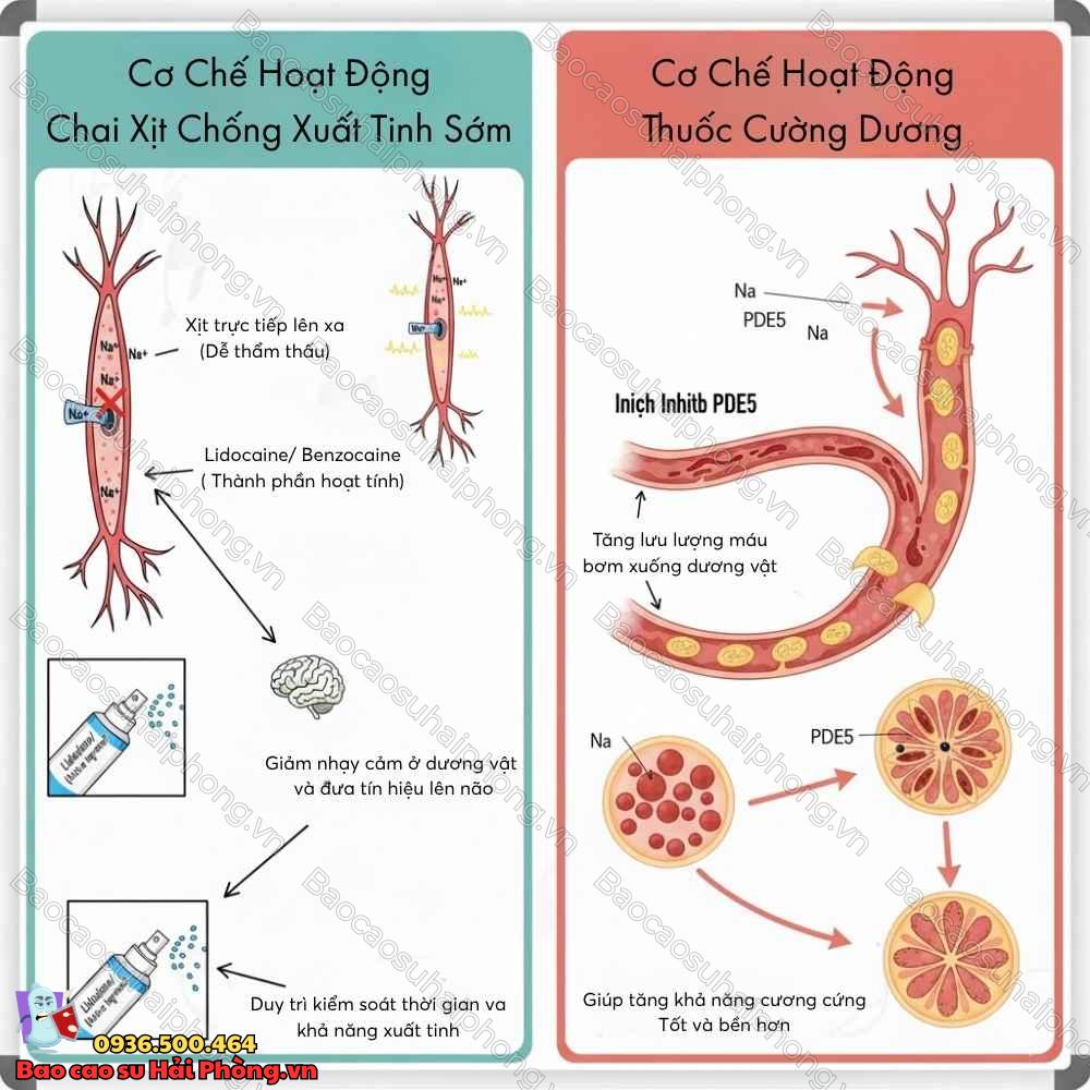 Chai xịt chống xuất tinh sớm có tăng khả năng cương cứng không?