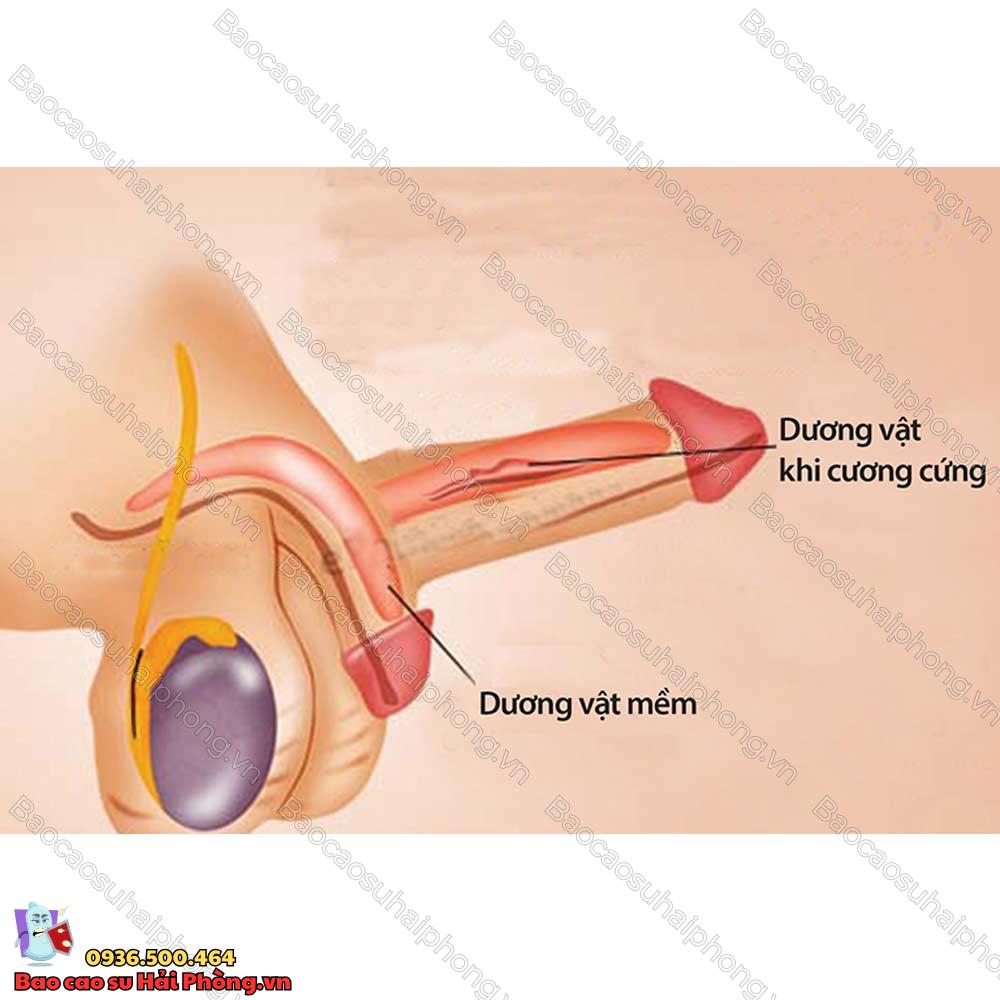 3-cach-lam-bao-quy-dau-bot-nhay-cam-3