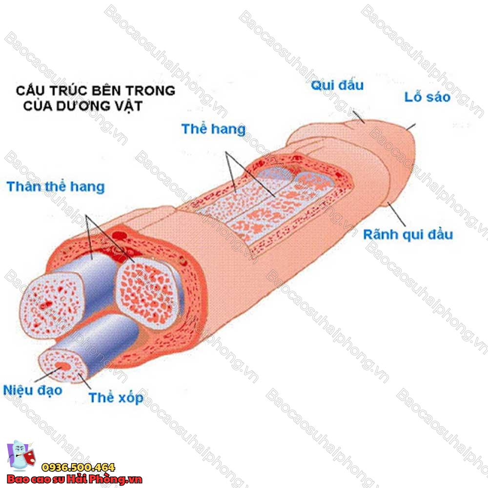 3-cach-lam-bao-quy-dau-bot-nhay-cam-4
