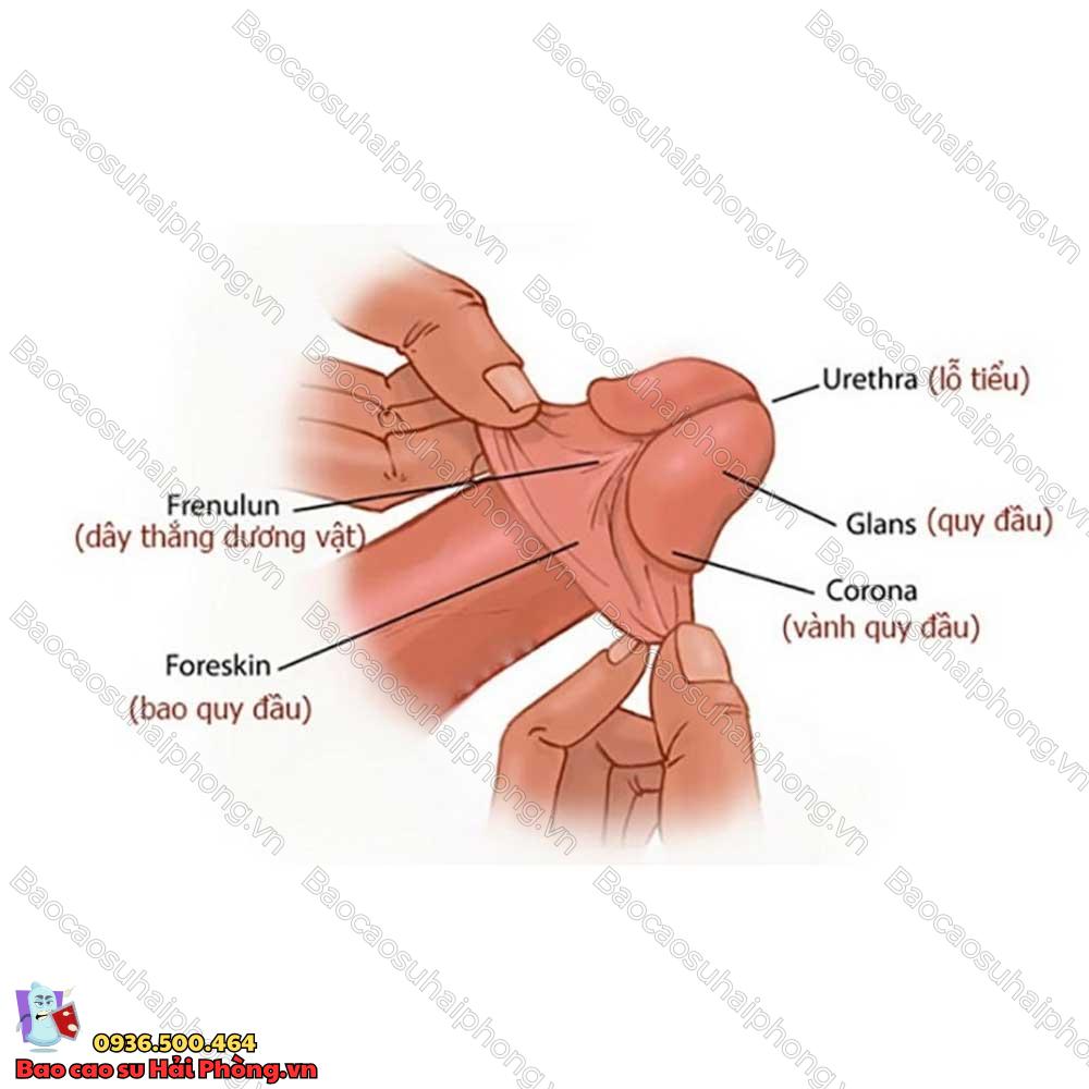 3-cach-lam-bao-quy-dau-bot-nhay-cam
