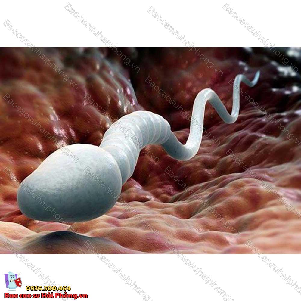 an-dua-co-tac-dung-gi-cho-tinh-trung-5