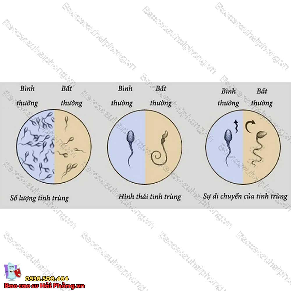 an-gi-de-tang-so-luong-tinh-trung-2