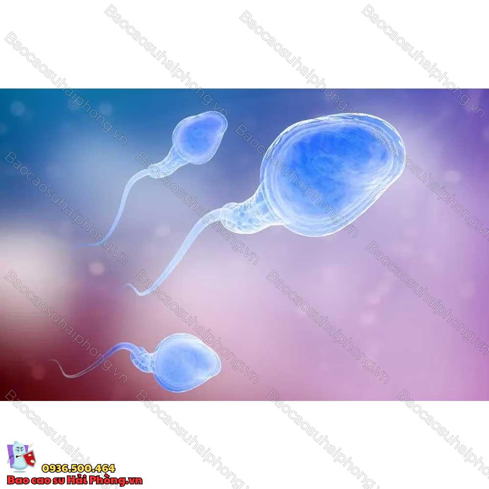 an-gi-de-tinh-trung-chet-trong-tu-cung-2