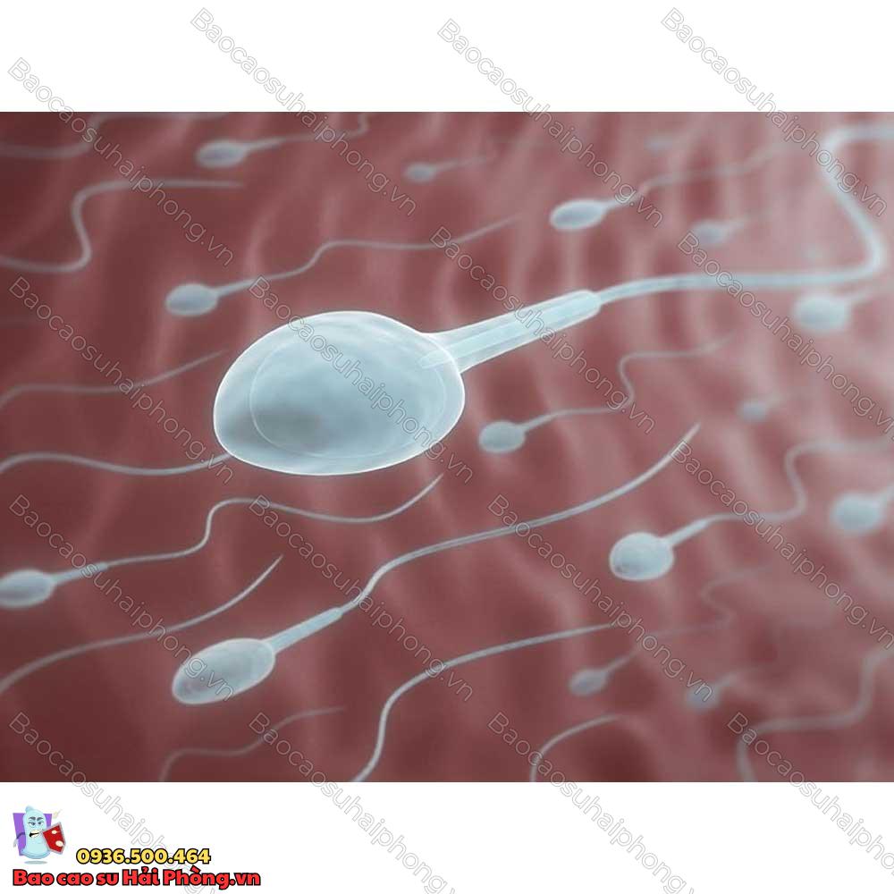 an-gi-de-tinh-trung-chet-trong-tu-cung-4