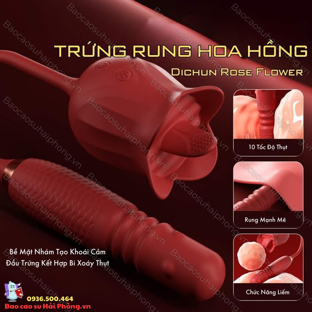 Trứng rung hoa hồng Dichun Rose Flower