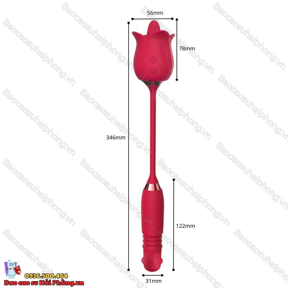 Trứng rung hoa hồng Dichun Rose Flower