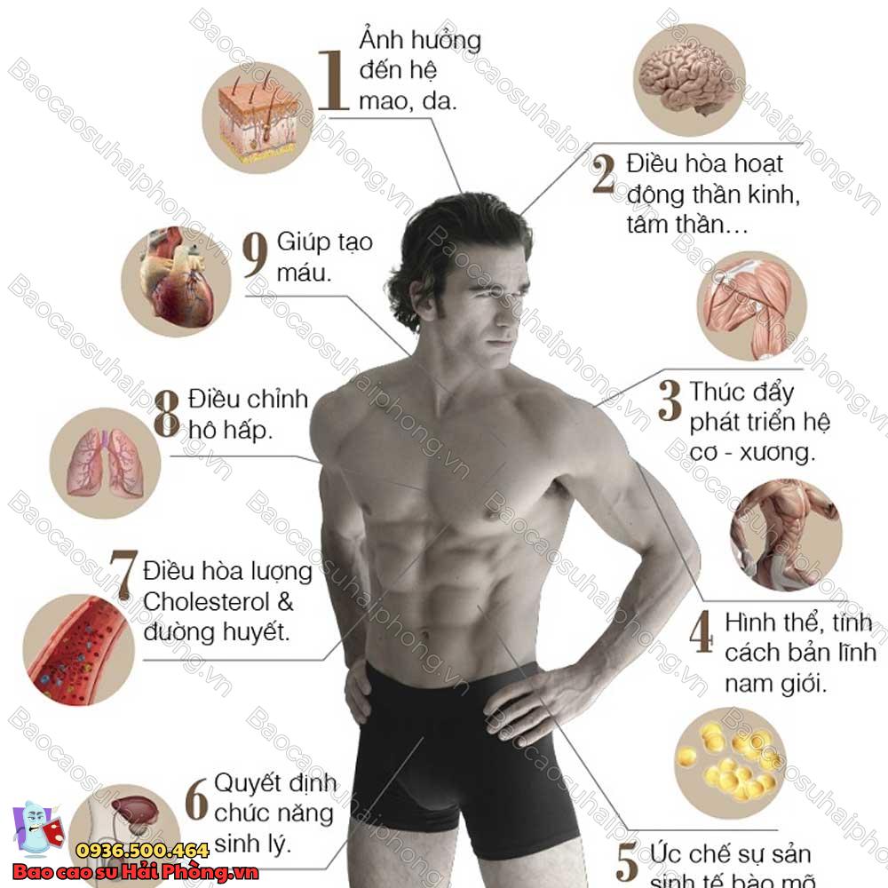 bai-tap-tang-testosterone-5