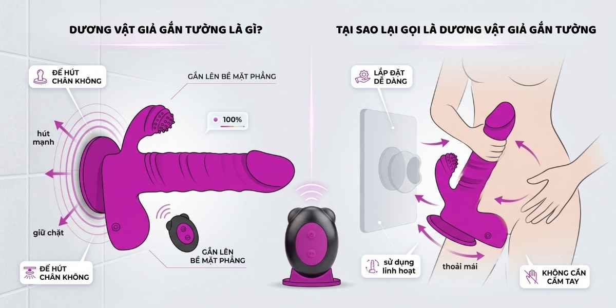 Dương vật giả gắn tường là gì