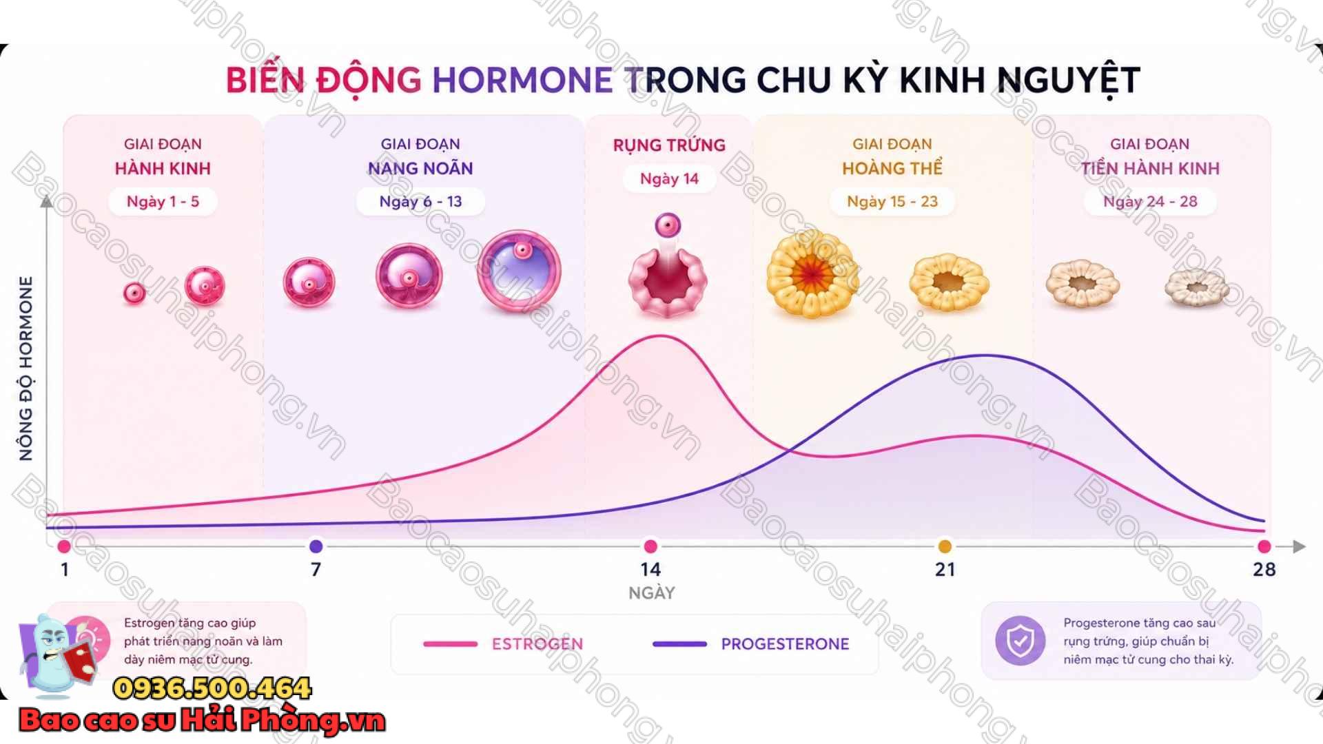 Ngày đèn đỏ - Hiểu về chu kỳ và thay đổi ở phụ nữ.