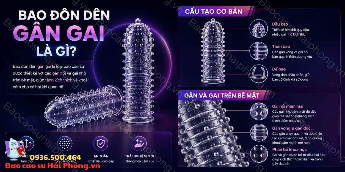 Bao đôn dên gân gai là gì? Đặc điểm và công dụng nổi bật