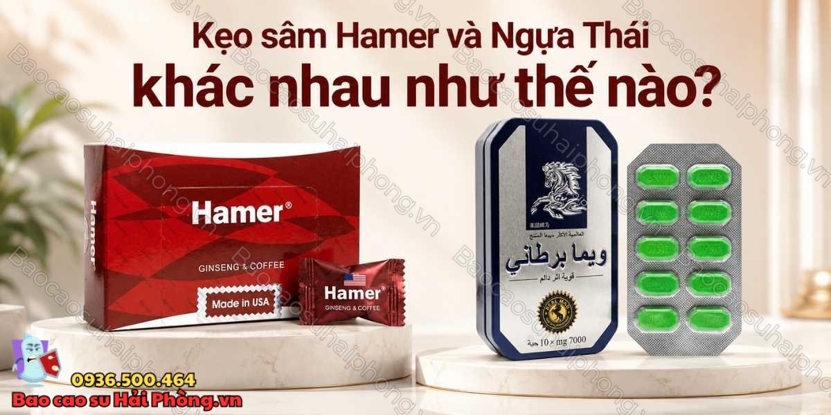 Kẹo sâm Hamer và Ngựa Thái khác nhau như thế nào?