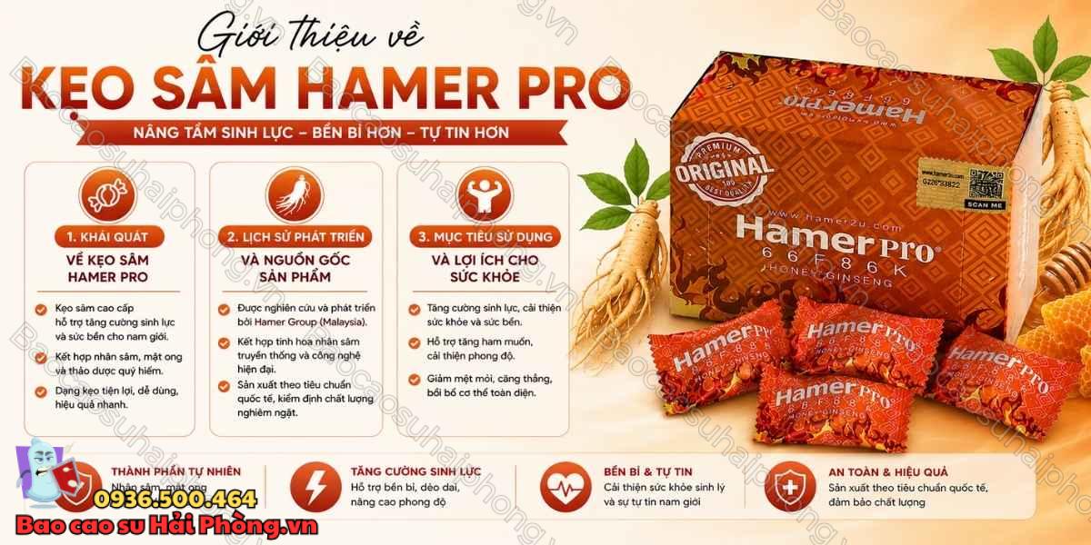 Kẹo Sâm Hamer Pro Có Thành Phần Gì? Tìm Hiểu Honey Ginseng