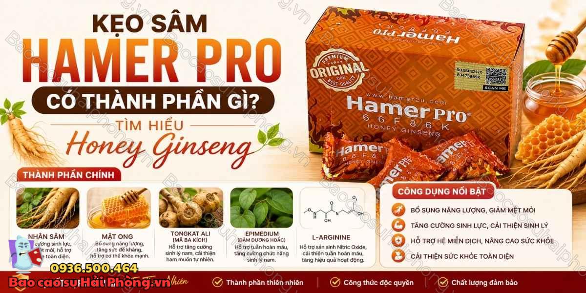 Kẹo Sâm Hamer Pro Có Thành Phần Gì? Tìm Hiểu Honey Ginseng