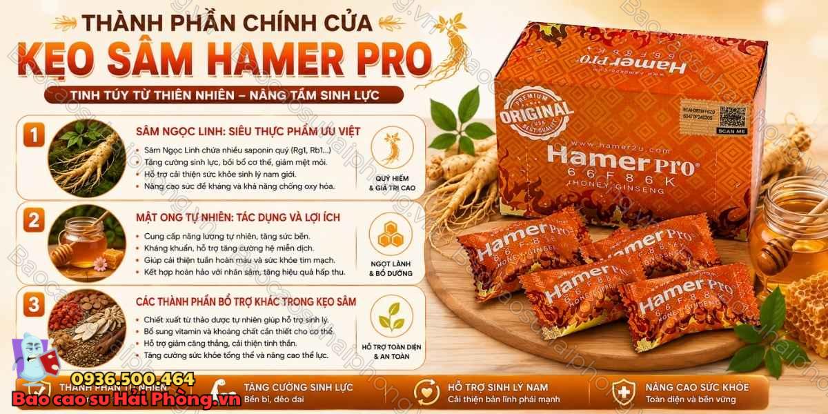 Kẹo Sâm Hamer Pro Có Thành Phần Gì? Tìm Hiểu Honey Ginseng