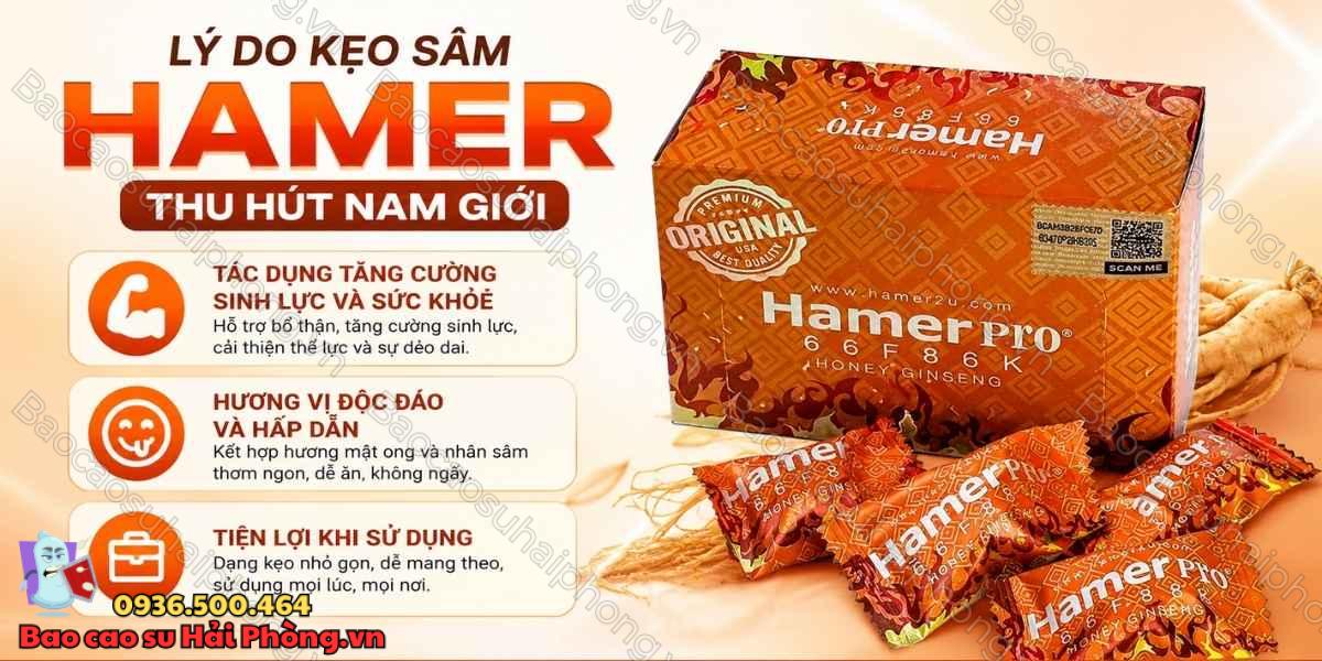 Kẹo Sâm Hamer Pro Malaysia Có Tốt Không? Review Chi Tiết