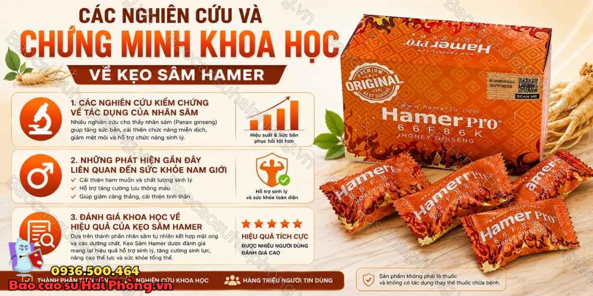 Kẹo Sâm Hamer Pro Malaysia Có An Toàn Không? Những Lưu Ý