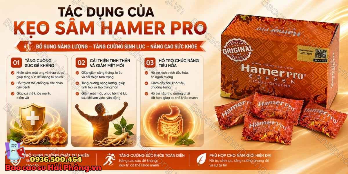 Kẹo Sâm Hamer Pro Có Thành Phần Gì? Tìm Hiểu Honey Ginseng