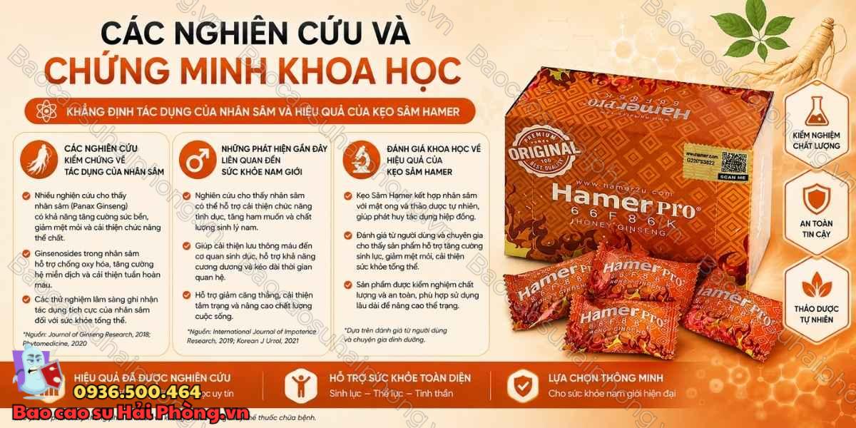 Kẹo Sâm Hamer Pro Malaysia Có Tốt Không? Review Chi Tiết