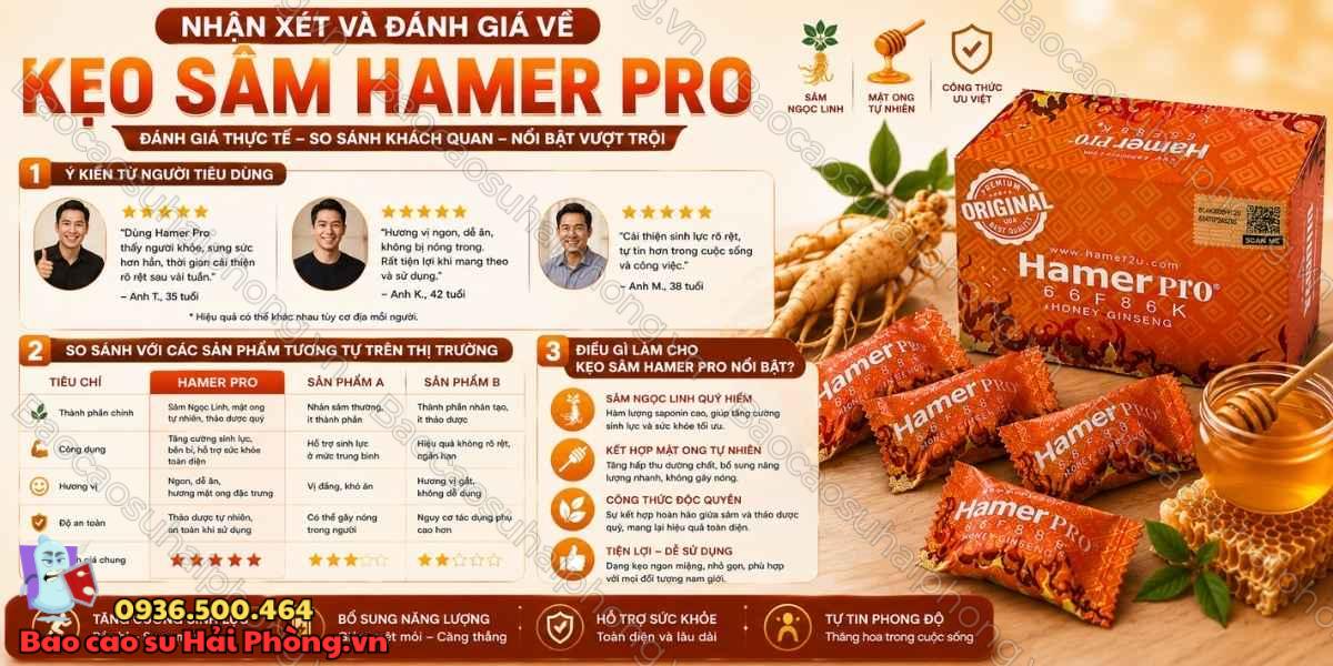 Kẹo Sâm Hamer Pro Có Thành Phần Gì? Tìm Hiểu Honey Ginseng
