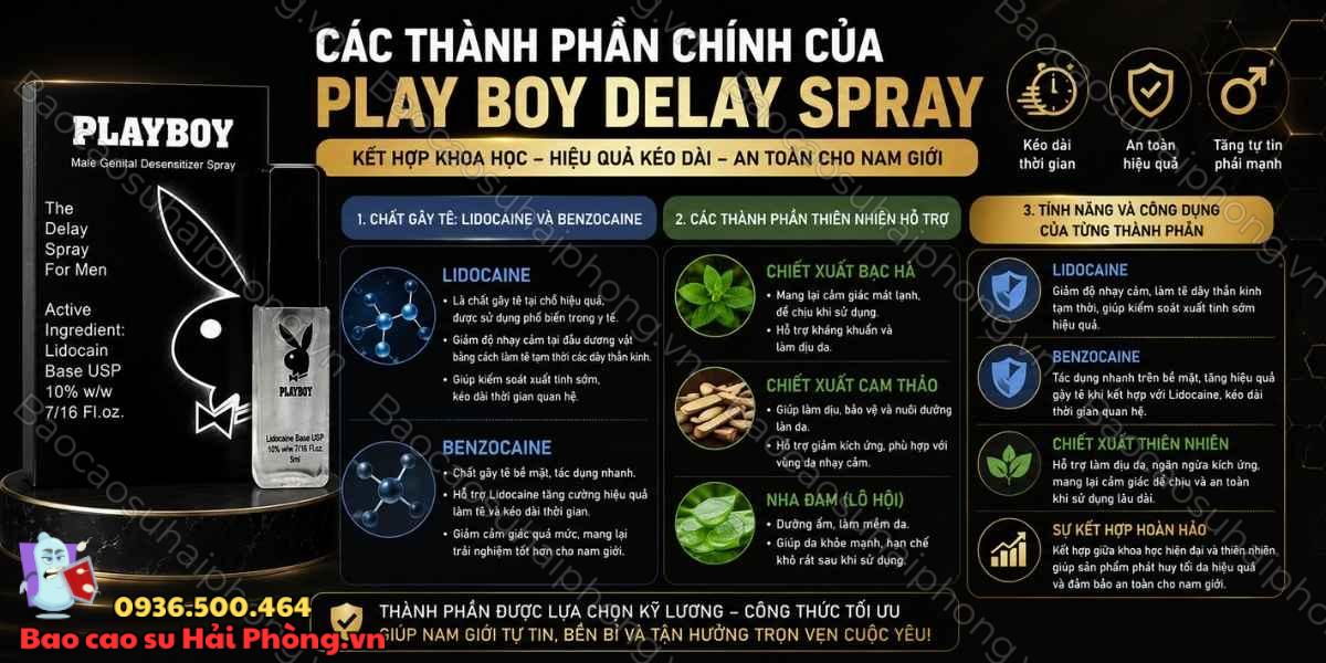 Thành phần của Play Boy Delay Spray có gì? - Tìm hiểu chi tiết