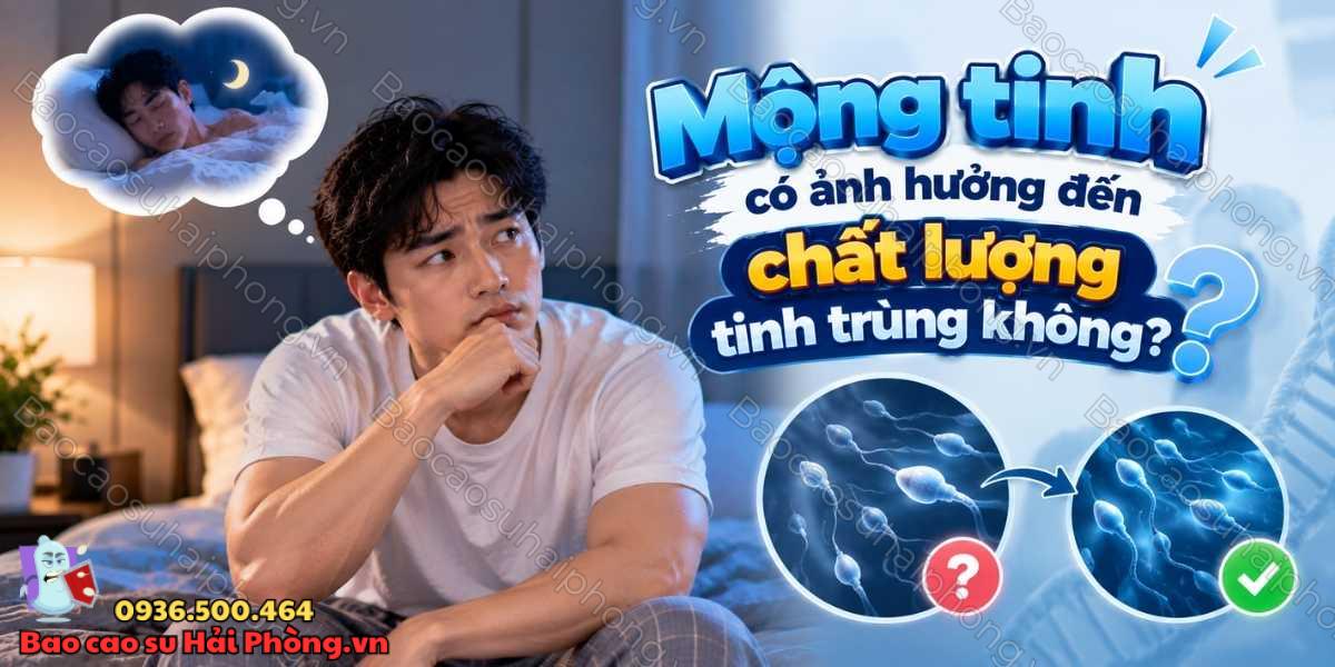Mộng tinh có ảnh hưởng đến chất lượng tinh trùng không?