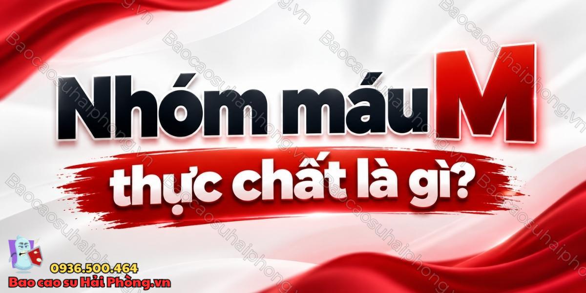 Nhóm máu M là gì? Hiểu đúng về “máu M” trong BDSM