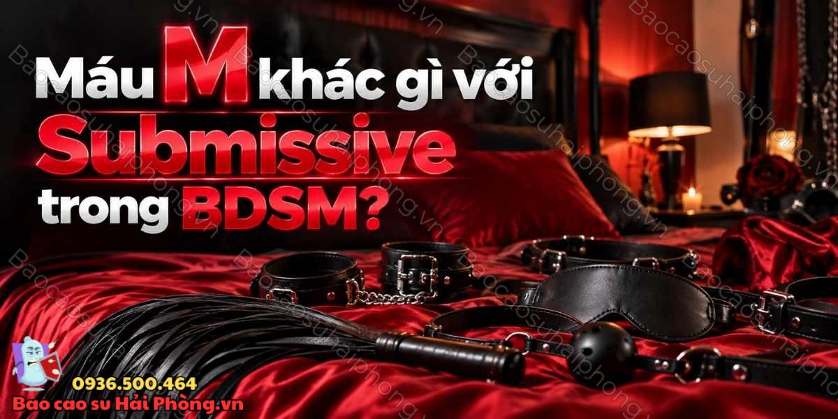 Nhóm máu M là gì? Hiểu đúng về “máu M” trong BDSM