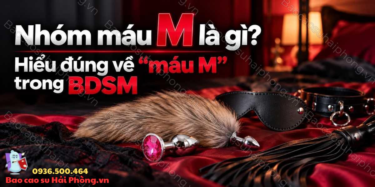 Nhóm máu M là gì? Hiểu đúng về “máu M” trong BDSM