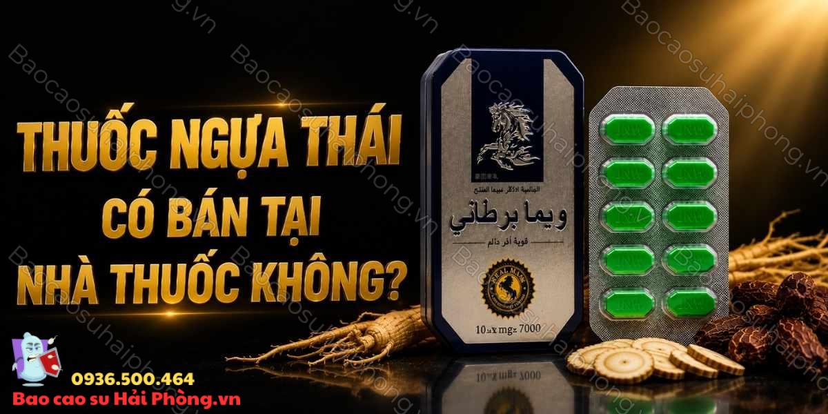 Các nhà thuốc có bán ngựa Thái không? Mua ở đâu chính hãng?