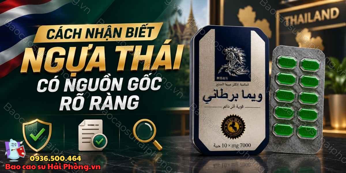 Giá thuốc ngựa thái chính hãng là bao nhiêu?