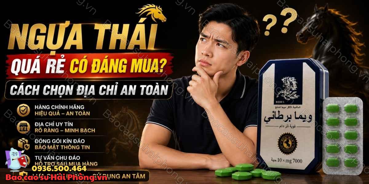 Ngựa Thái quá rẻ có đáng mua? Cách chọn địa chỉ an toàn