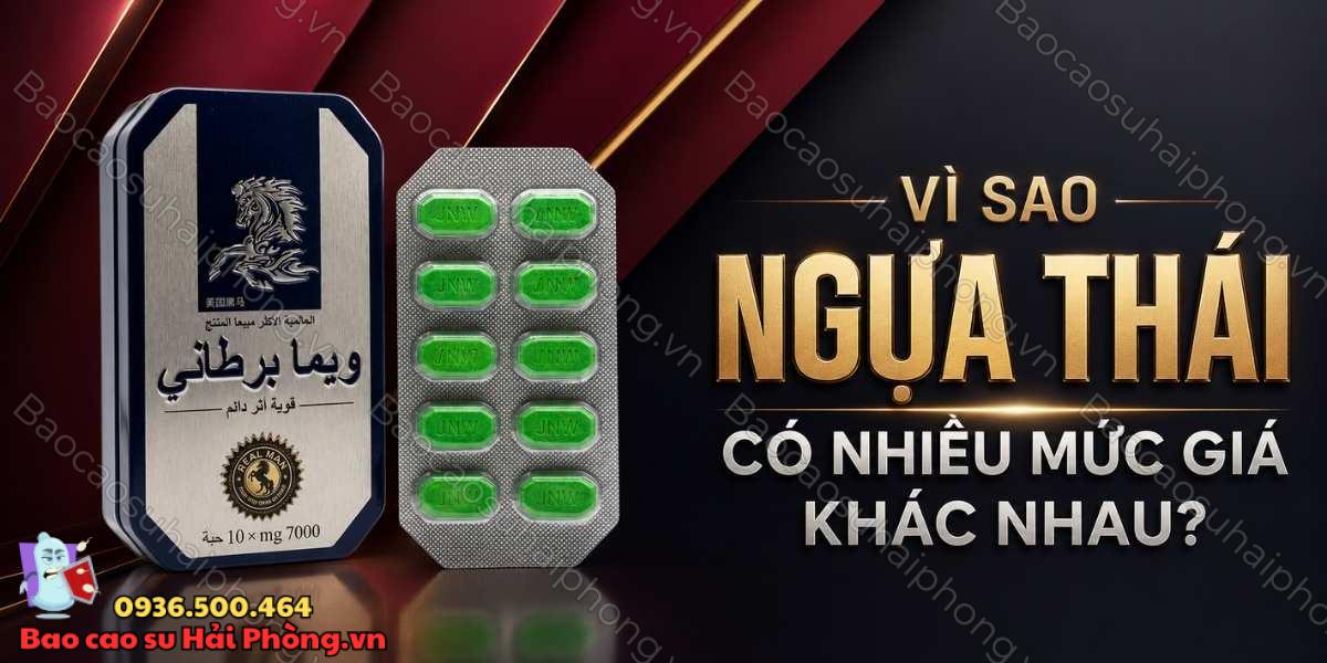 Ngựa Thái quá rẻ có đáng mua? Cách chọn địa chỉ an toàn