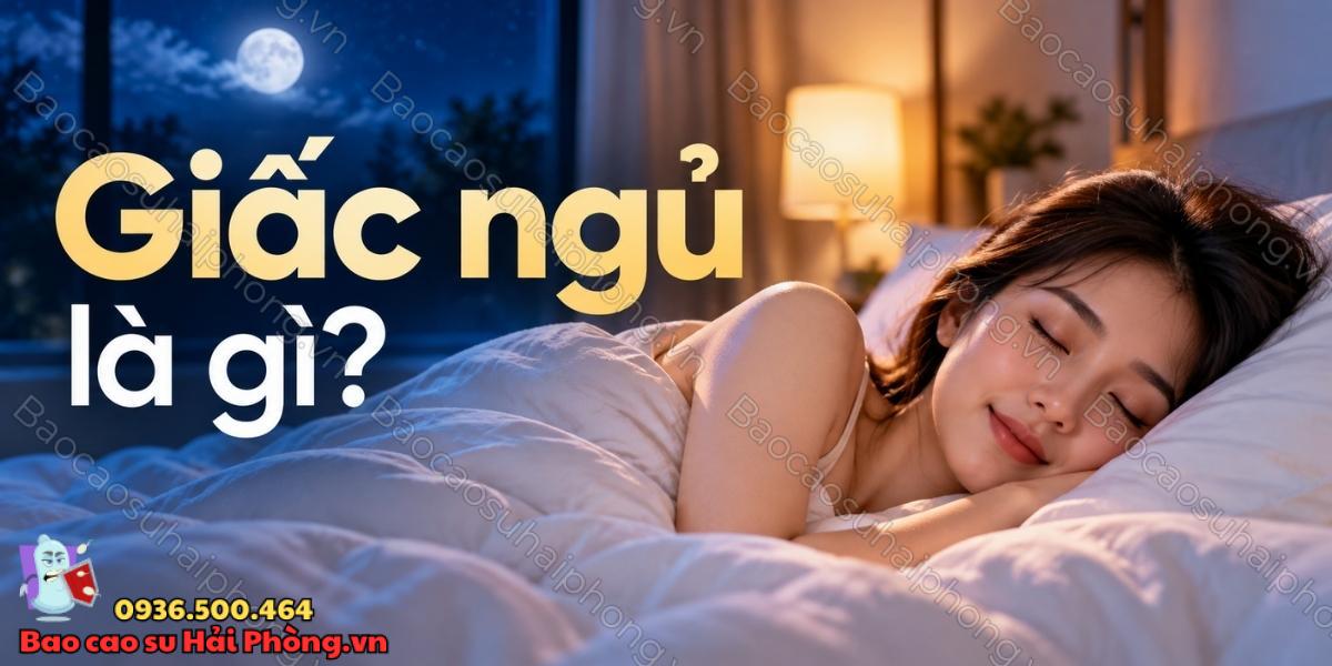 Giấc ngủ là gì? - Giấc ngủ quan trọng như thế nào?