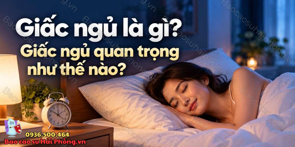 Giấc ngủ là gì? - Giấc ngủ quan trọng như thế nào?