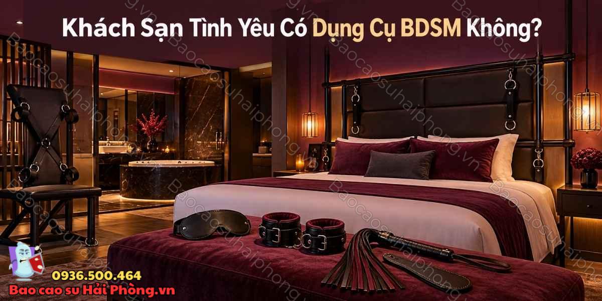 Khách sạn tình yêu có các dụng cụ BDSM không?