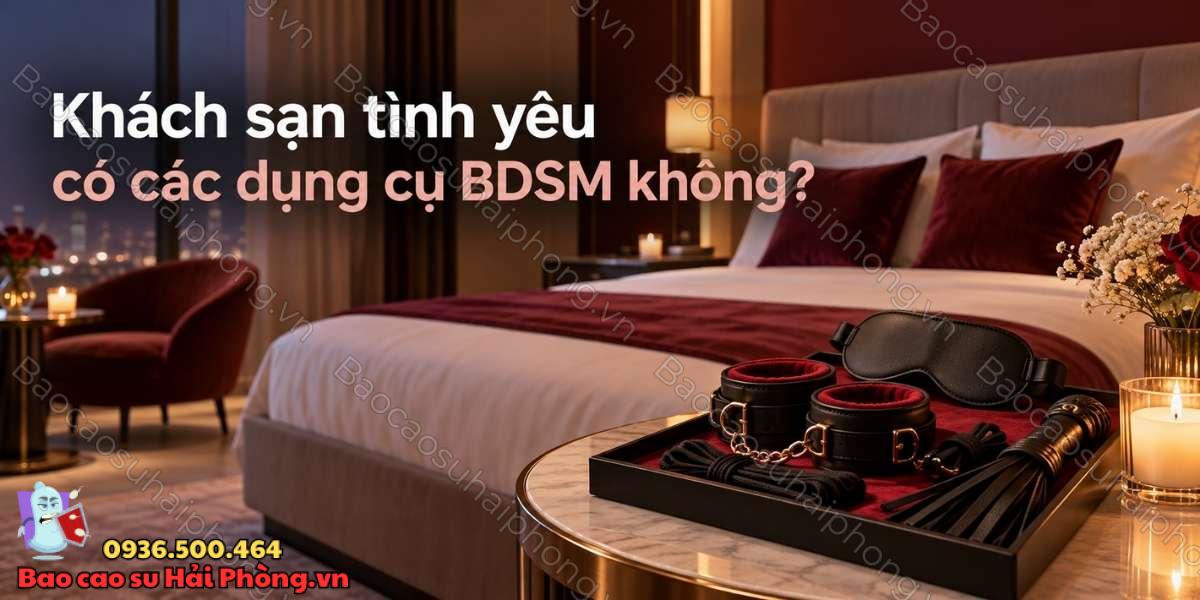 Khách sạn tình yêu có các dụng cụ BDSM không?